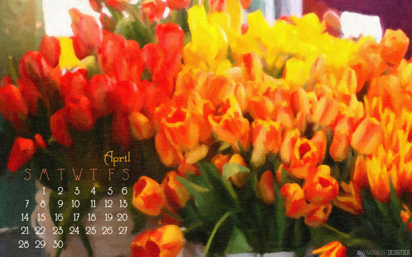 April 2013- Tulips at the Seattle Public Market Desktop Image from Wanderlust Designer