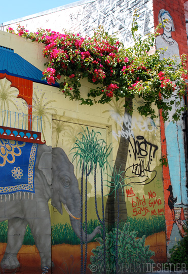 Using Nature with Street Art, Clarion Alley, Mission District, San Francisco (photo by Wanderlust Designer)