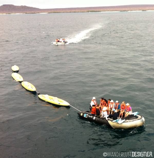 Coming Back to the Endeavour After a Kayak Expedition in the Galápagos by Wanderlust Designer