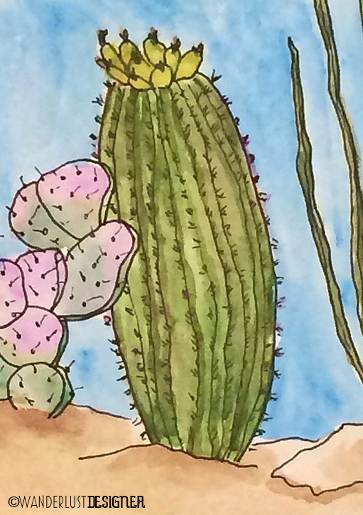 Barrel Cactus, Tucson, Arizona (watercolor by Wanderlust Designer)